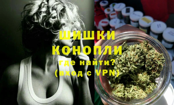 индика Балахна