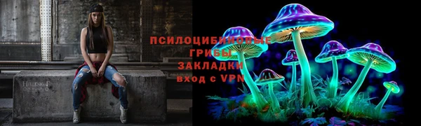 индика Балахна