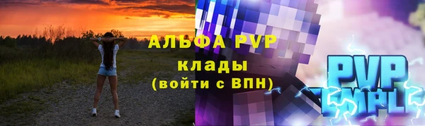 индика Балахна