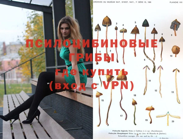 индика Балахна