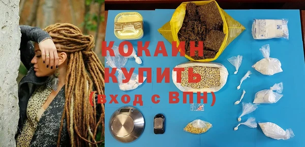 индика Балахна