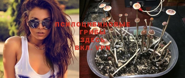 крисы Зеленодольск