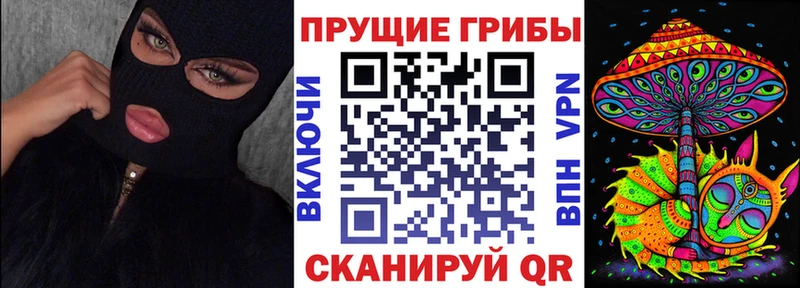 Галлюциногенные грибы Psilocybine cubensis  где найти наркотики  Гудермес 