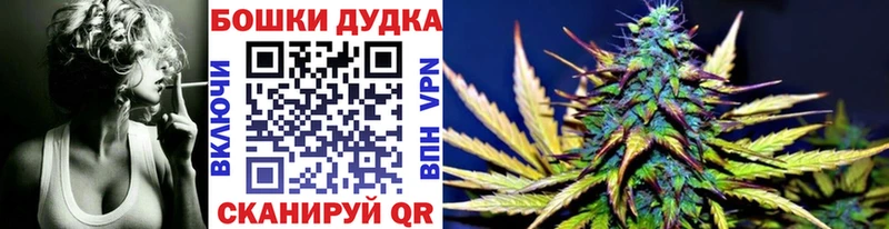 Бошки марихуана SATIVA & INDICA  как найти наркотики  Гудермес 